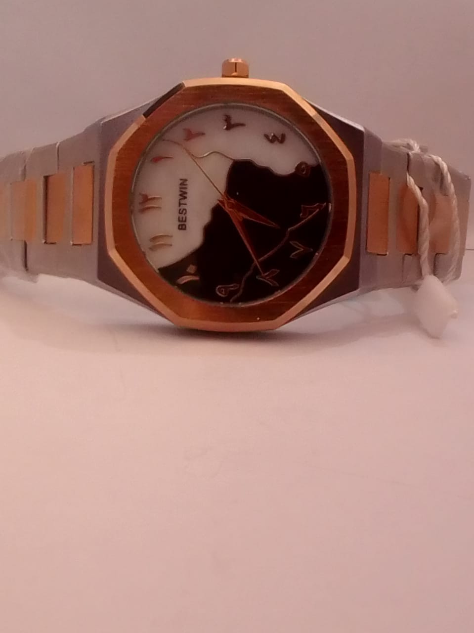 Bestwin Luxury Two-Tone Wristwatch – Arabic Numerals &amp; Unique Dial Design